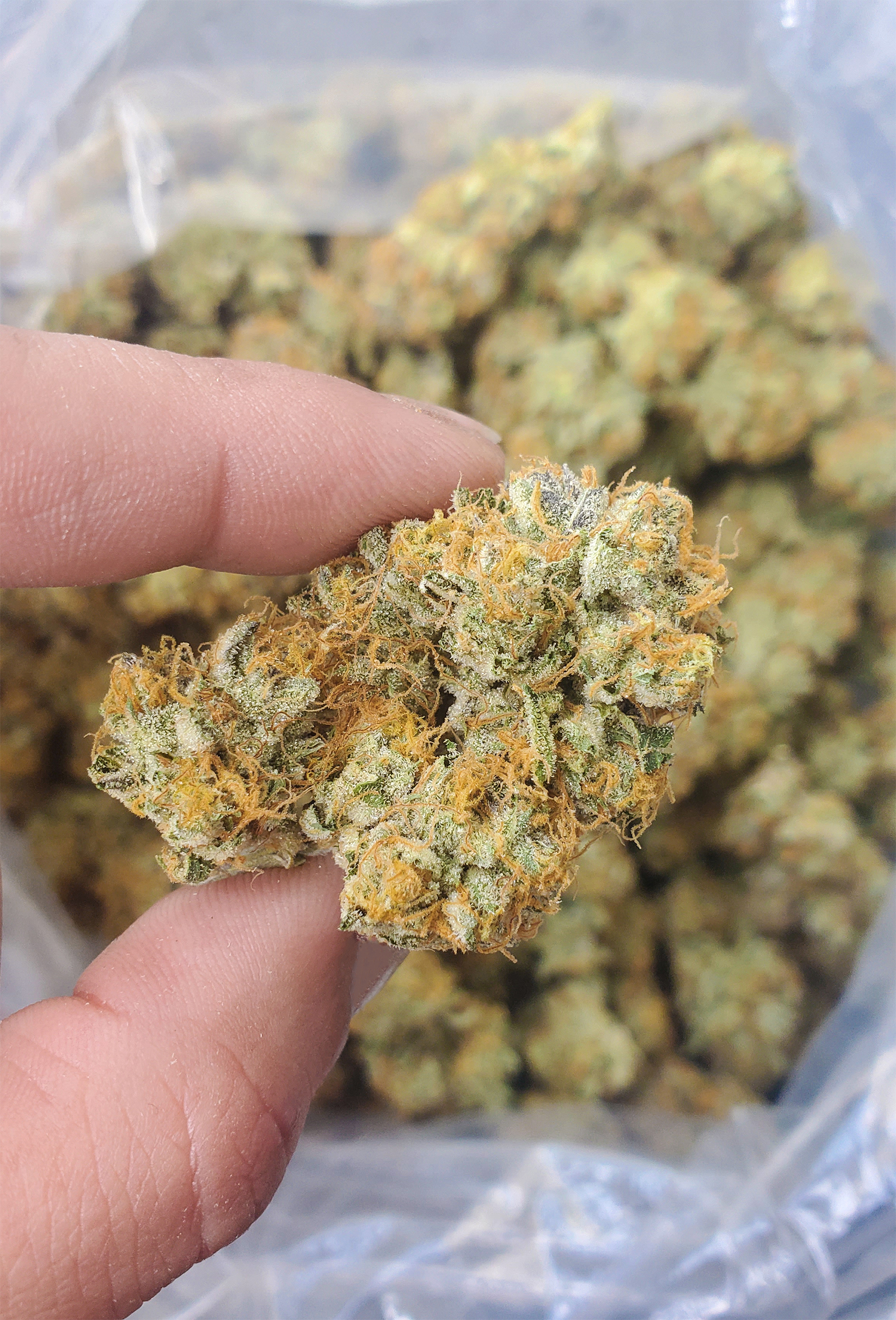 Wholesale Image 1