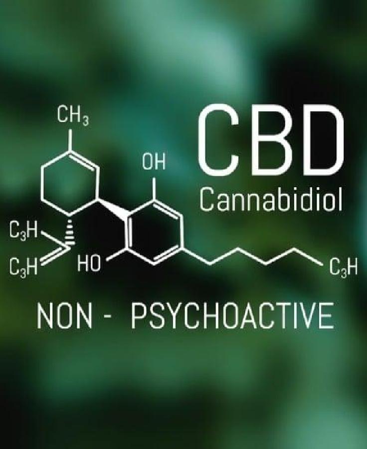 The Endocannabinoid System Explained Image
