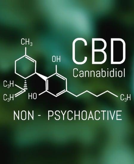 The Endocannabinoid System Explained Image