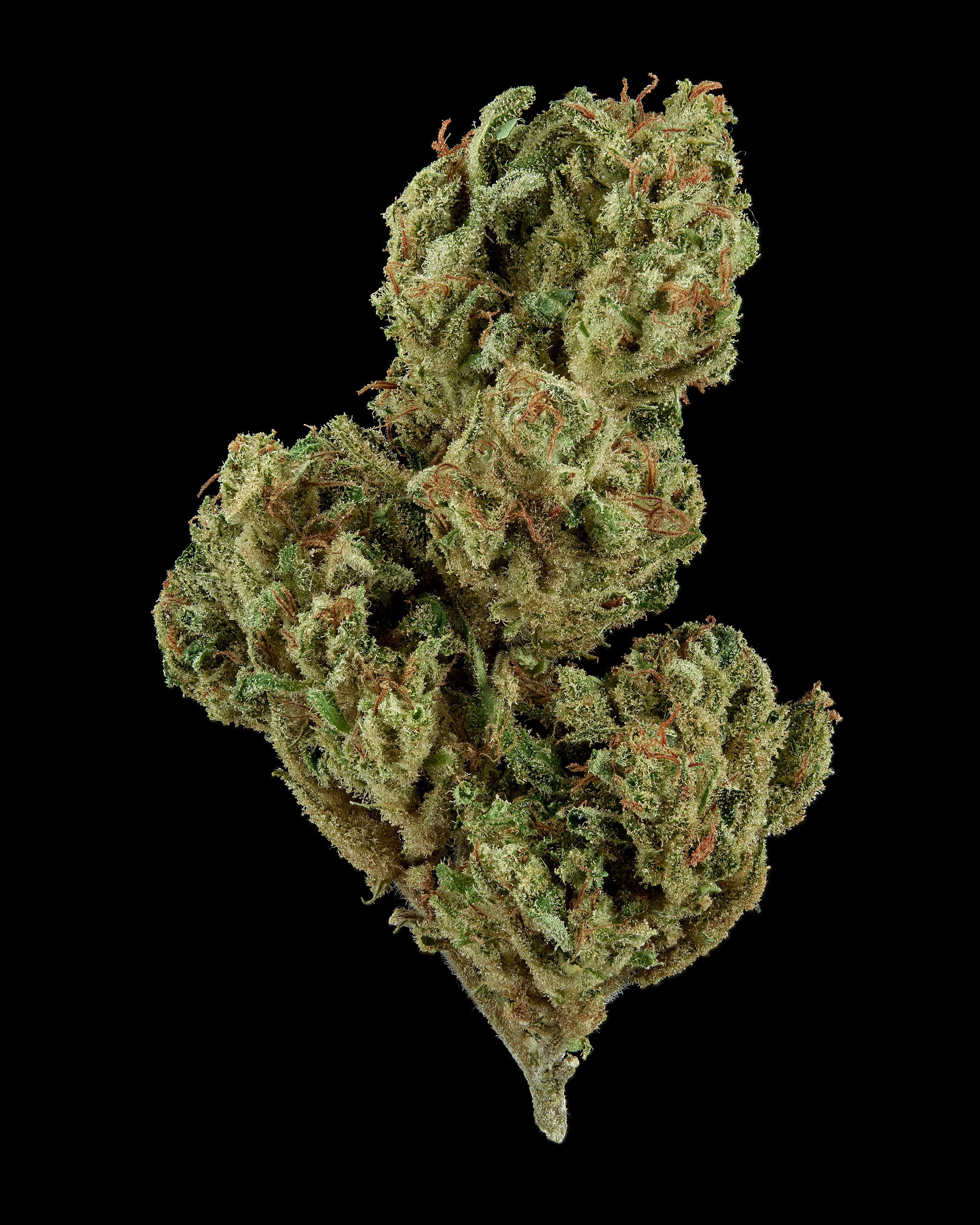 A gallery image for Elektra CBD Hemp Flower