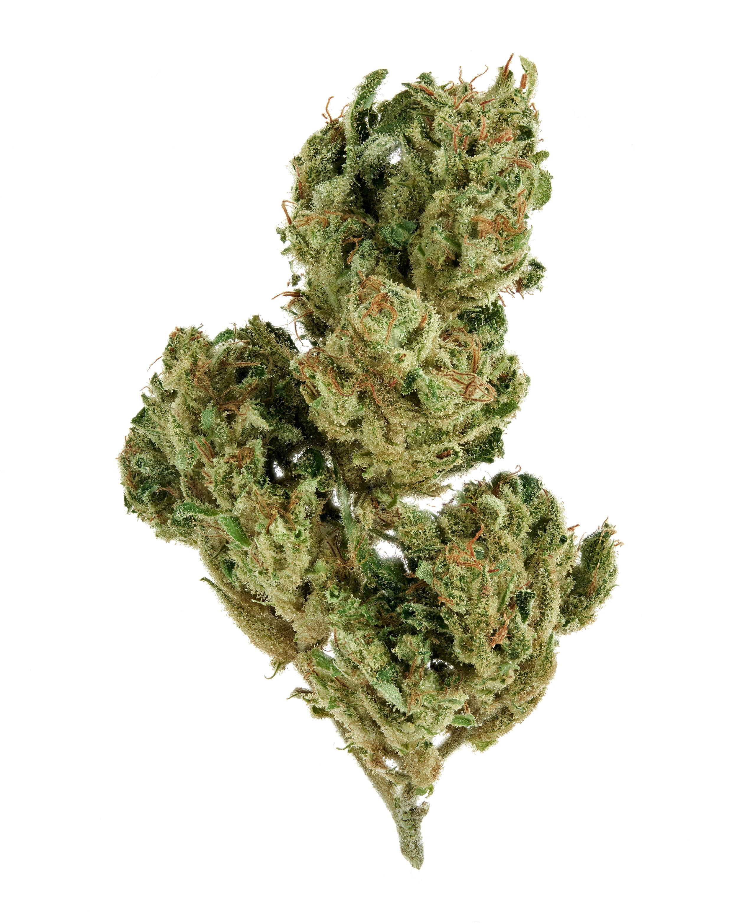 The product image for Elektra CBD Hemp Flower 1g