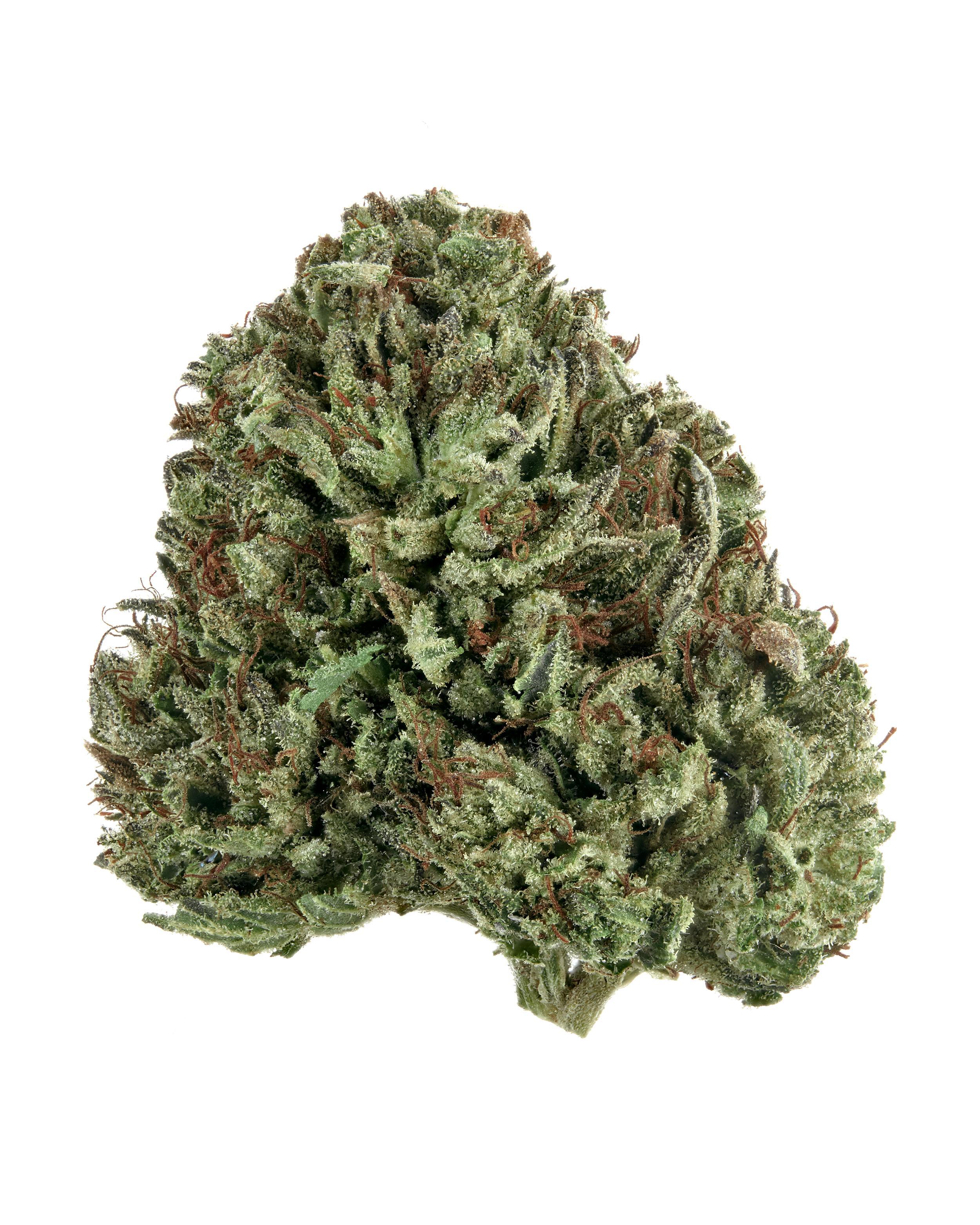 The product image for The Kush Trilogy Bundle