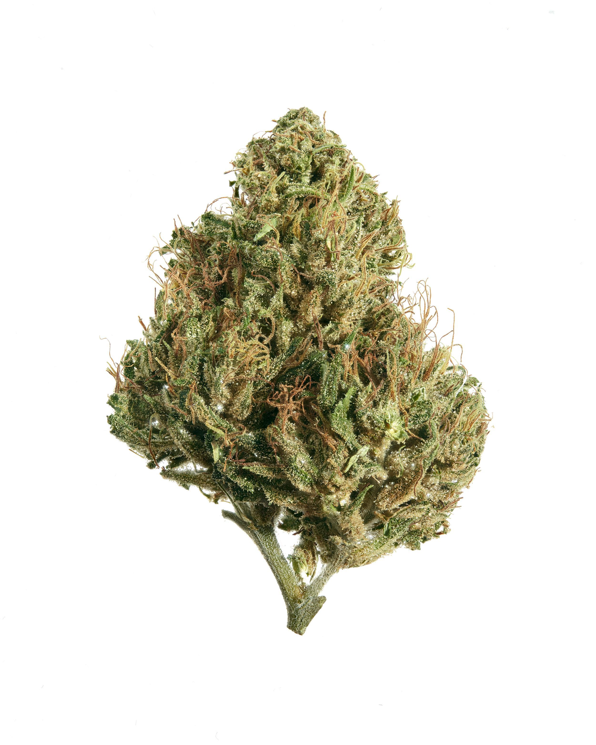 The product image for Cherry Cobbler CBD Hemp Flower
