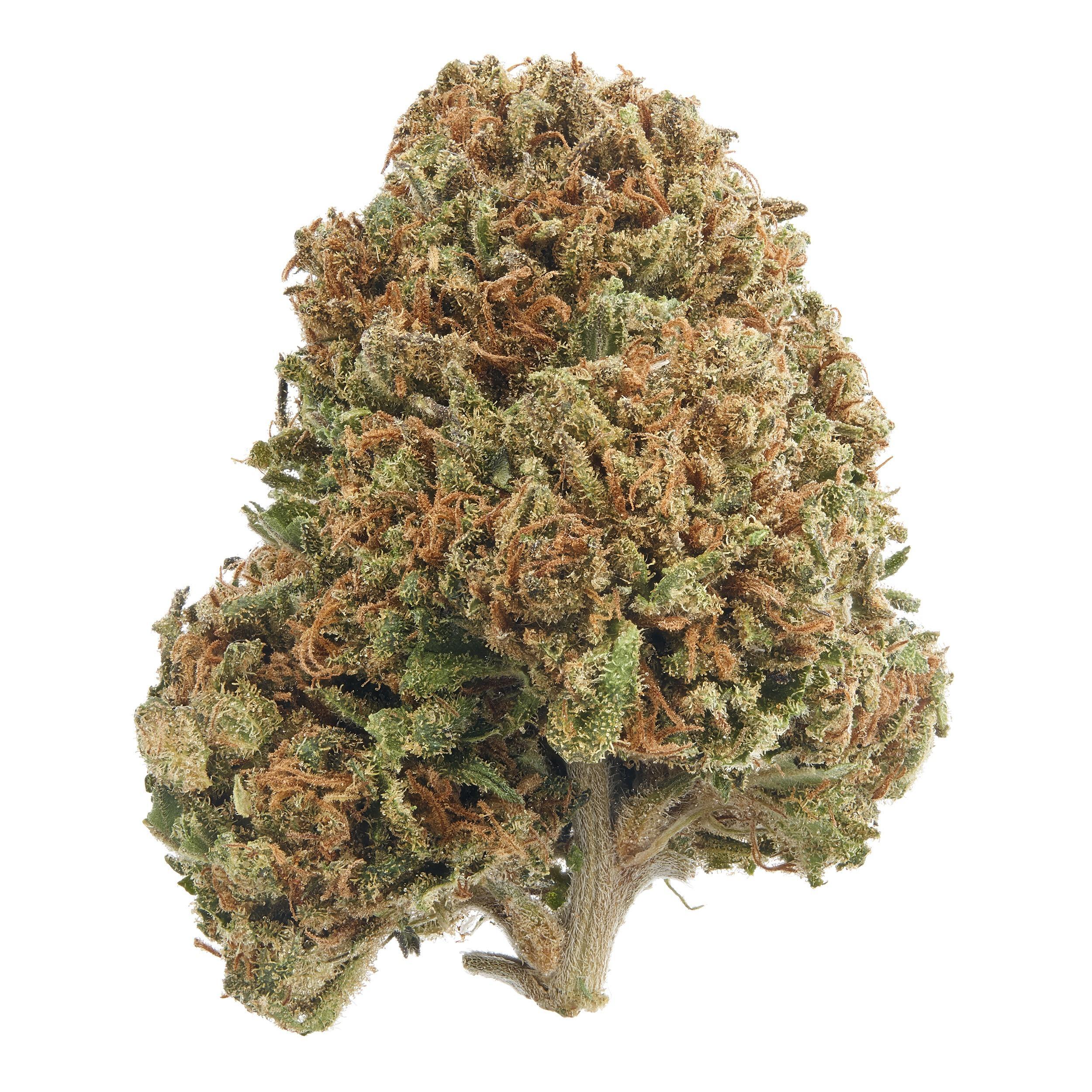 A gallery image for The Kush Trilogy Bundle