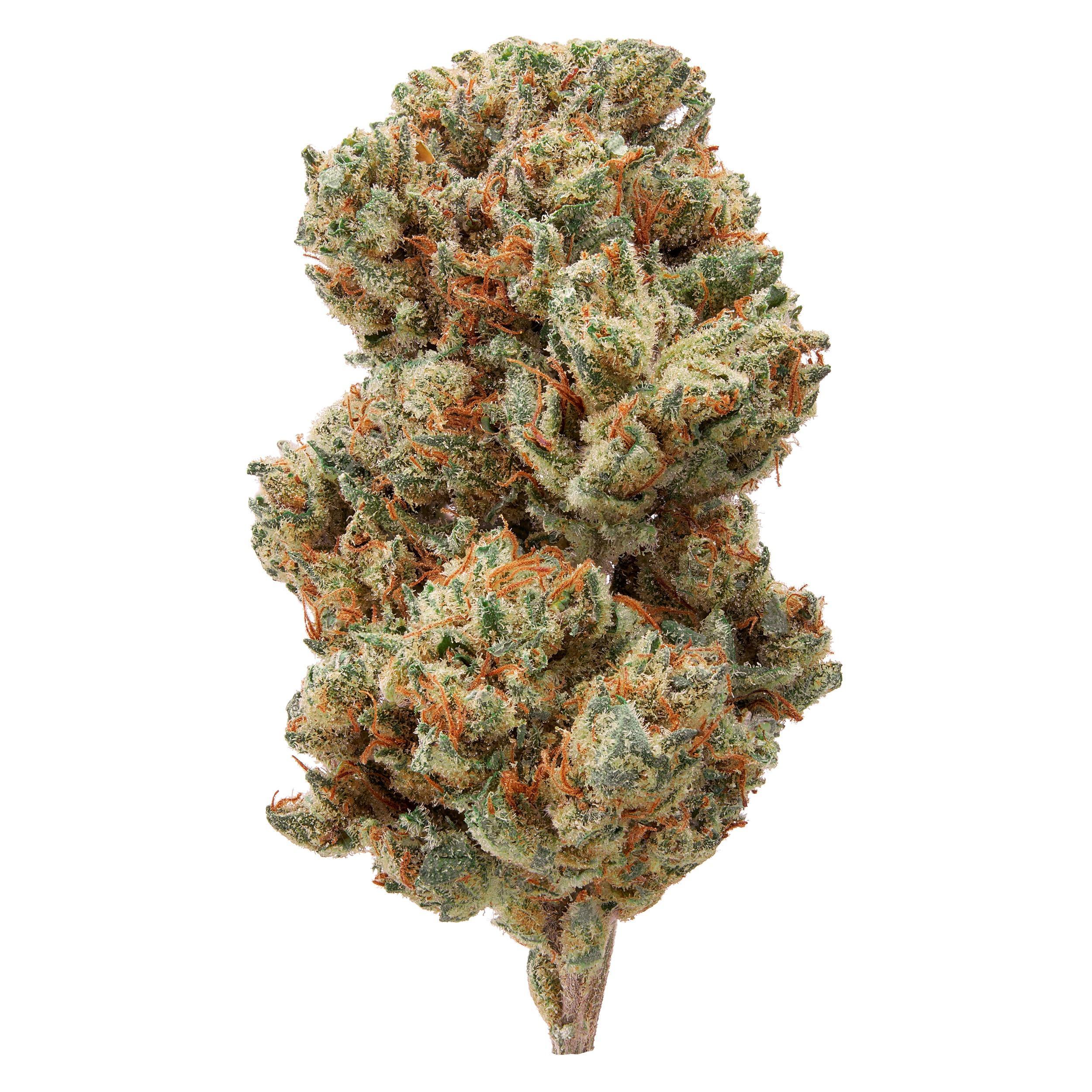 The product image for Afghan Skunk Indoor Hemp Flower