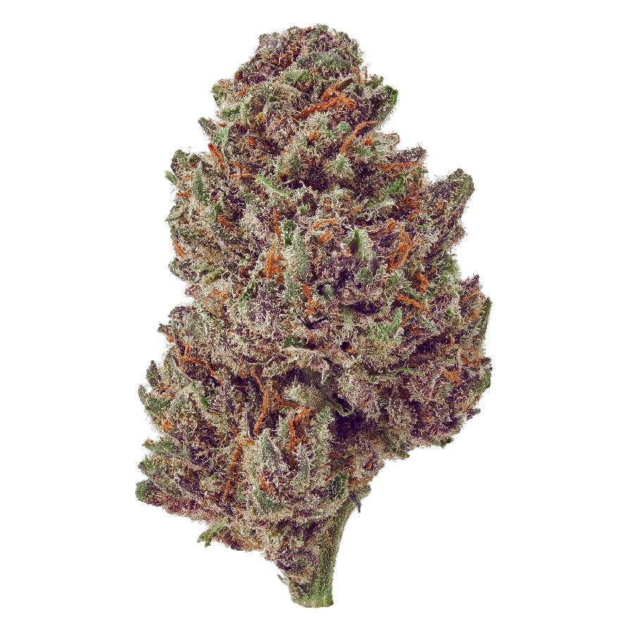 The product image for Purple Tsunami Indoor Hemp Flower