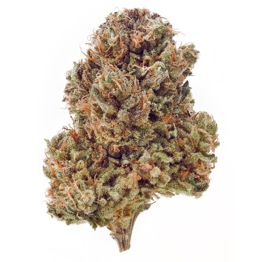 Abacus Hemp Flower