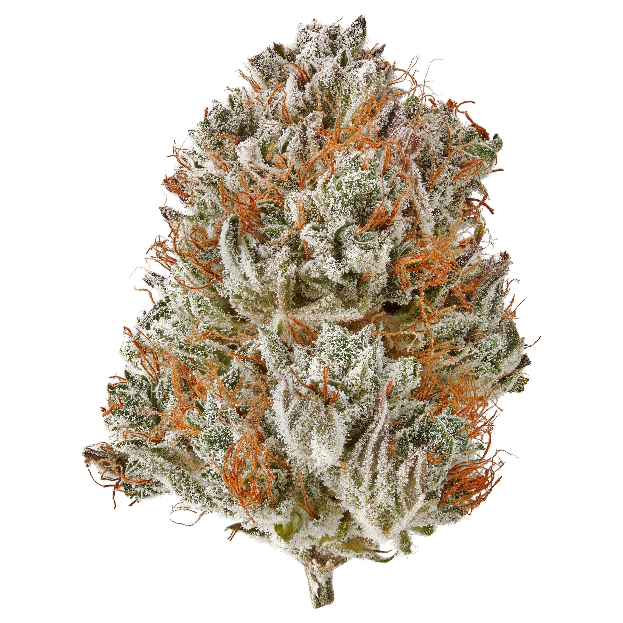 The product image for Cosmic Diesel CBG Hydroponic