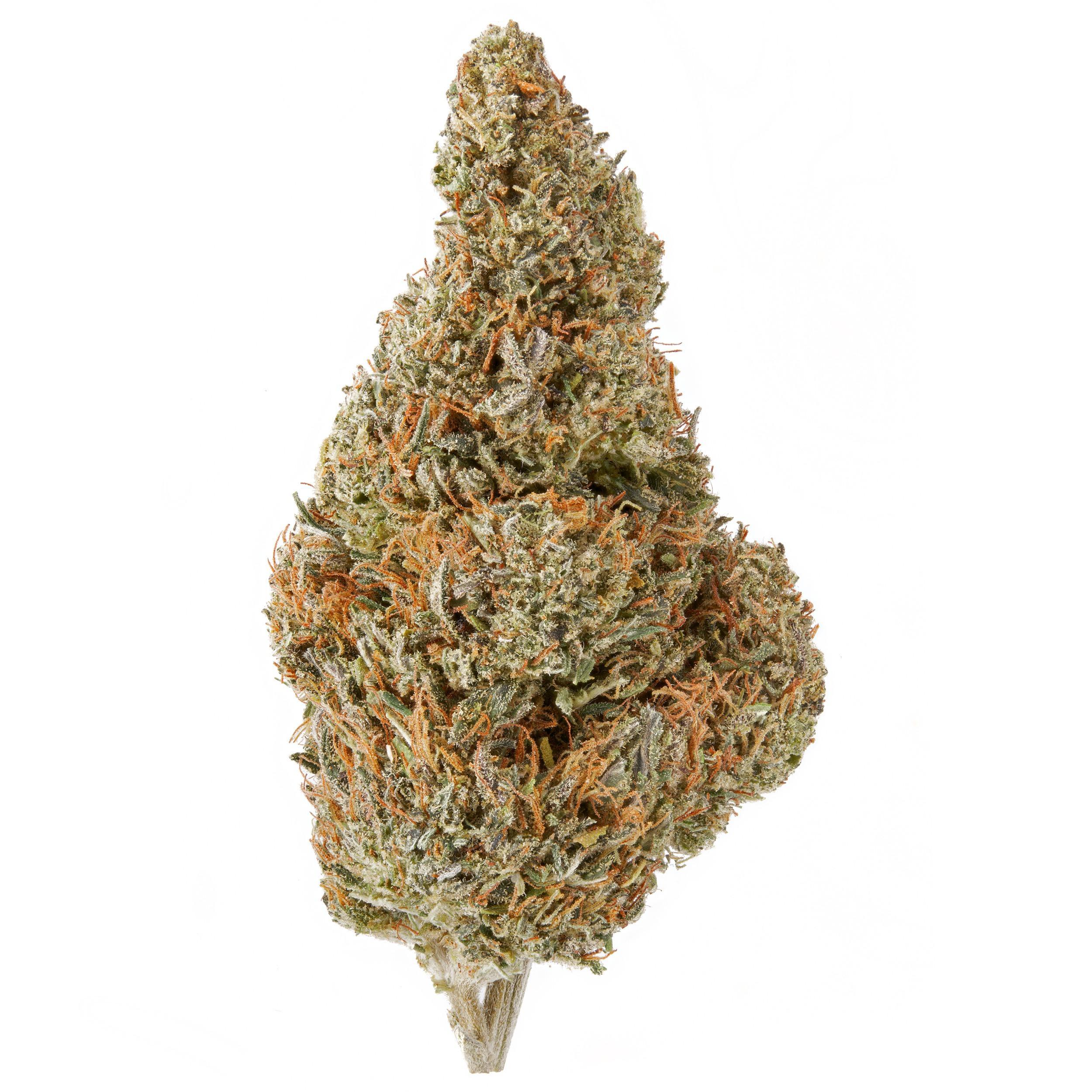 The product image for Durban Poison Kush