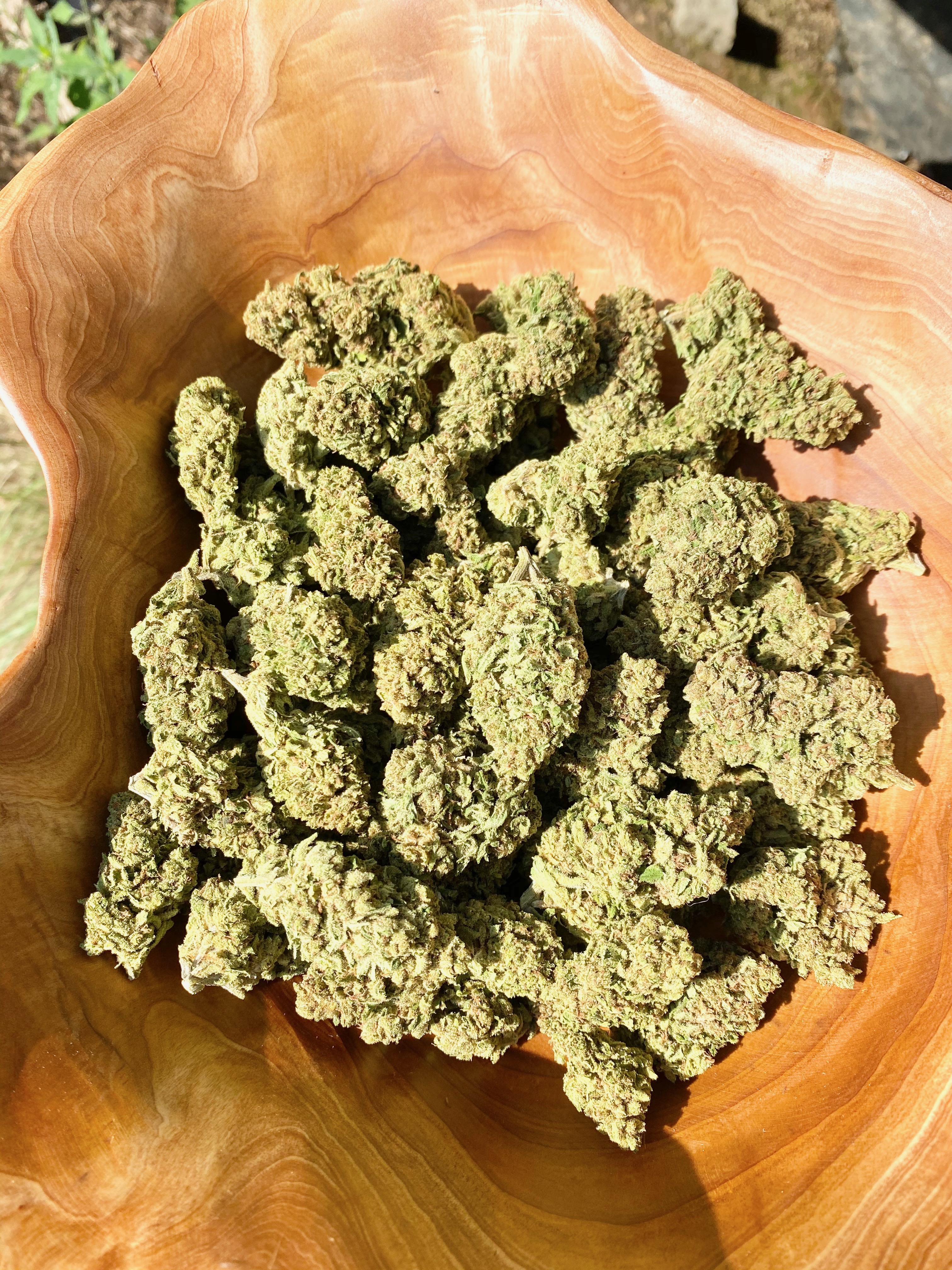 A gallery image for Green Magic Hemp Flower