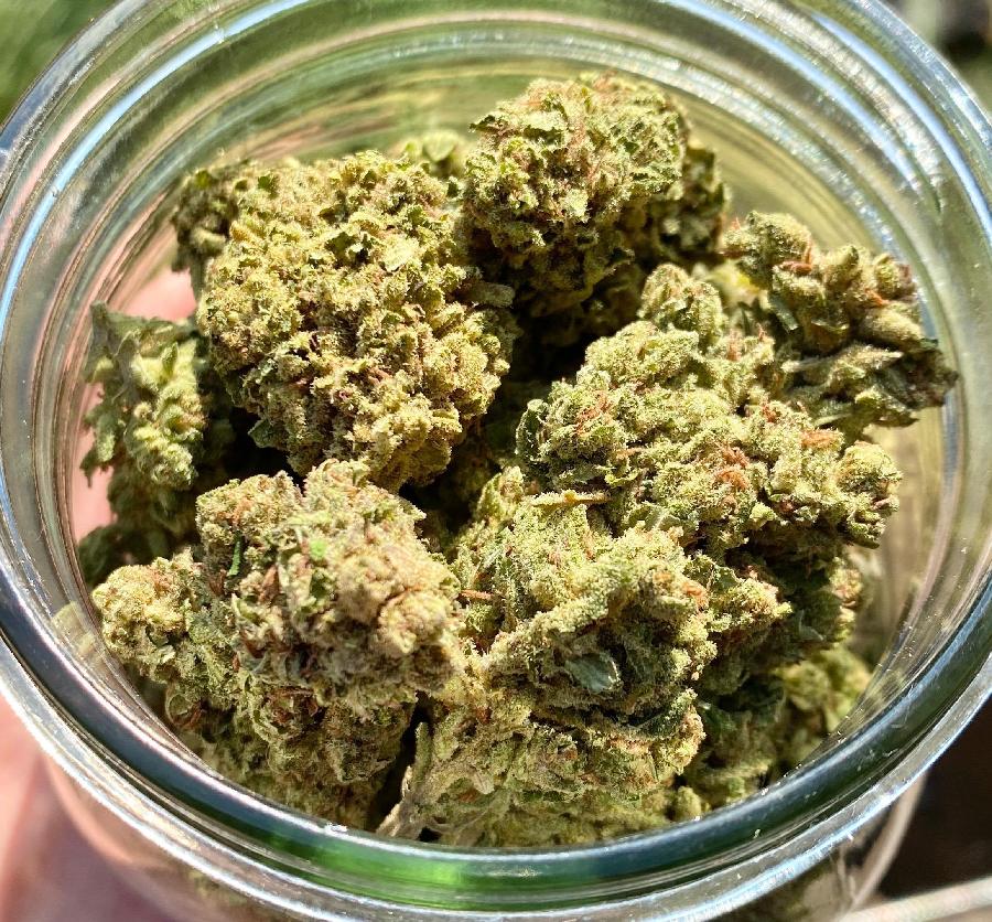 Green Magic Hemp Flower, photo 2 of 6