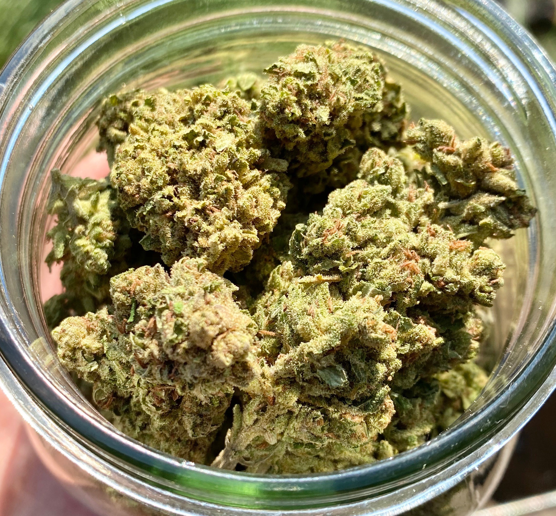A gallery image for Green Magic Hemp Flower