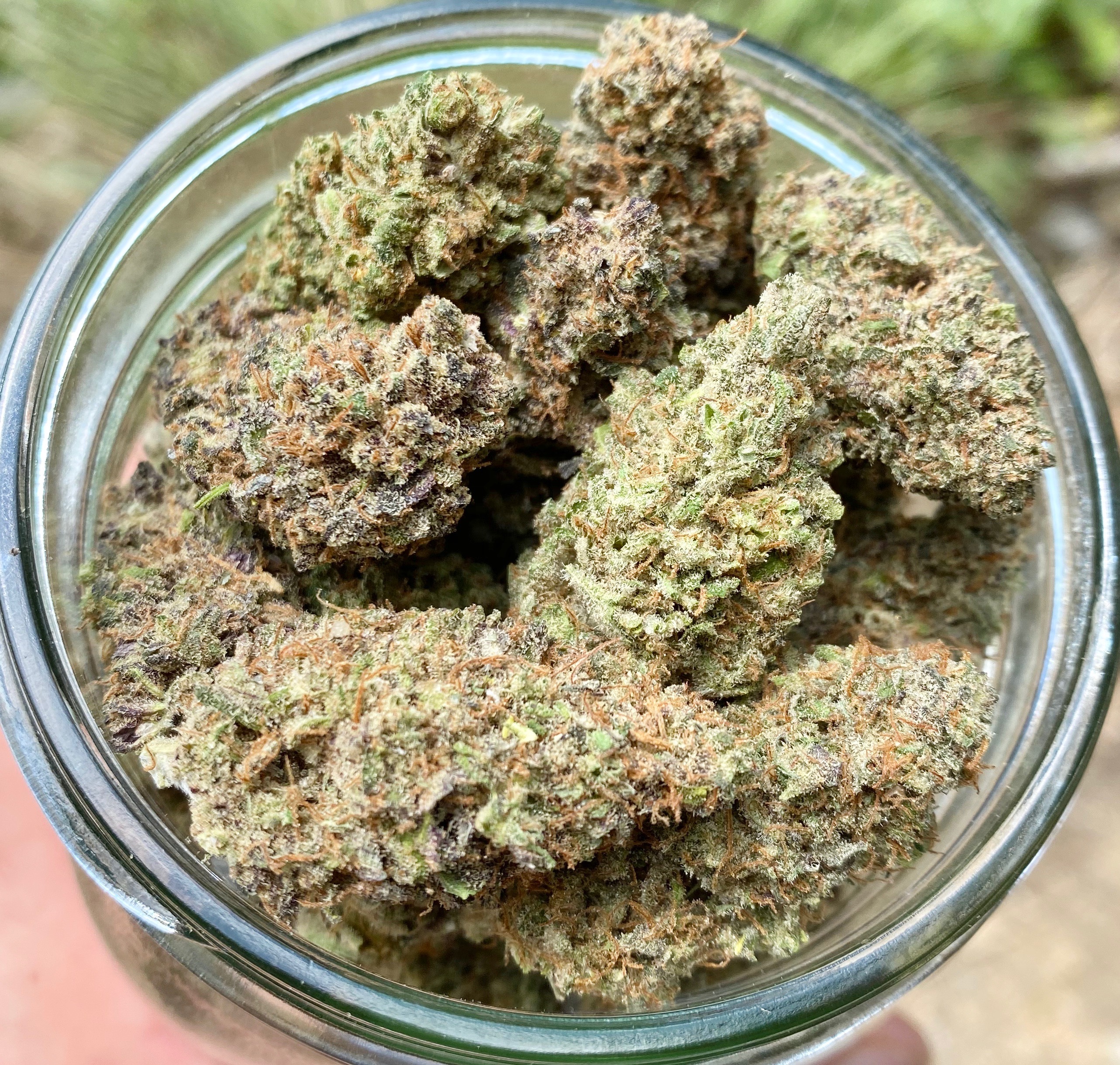 A gallery image for Lifted Soul Indoor Hemp Flower