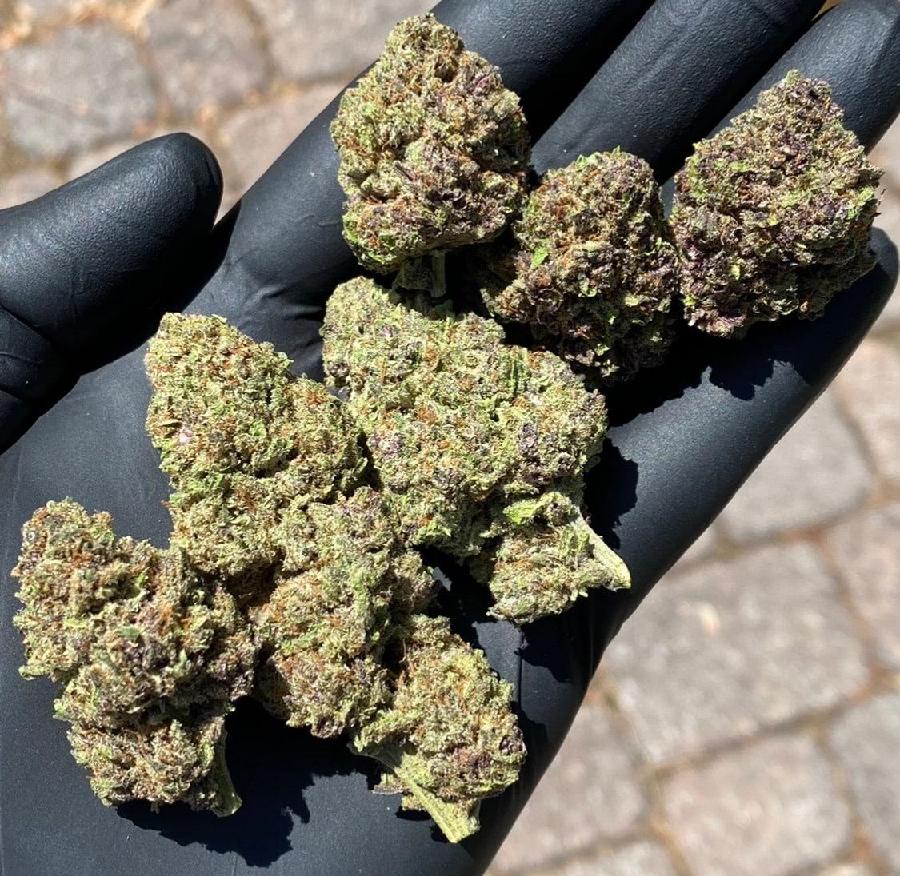 A gallery image for Purple Tsunami Indoor Hemp Flower