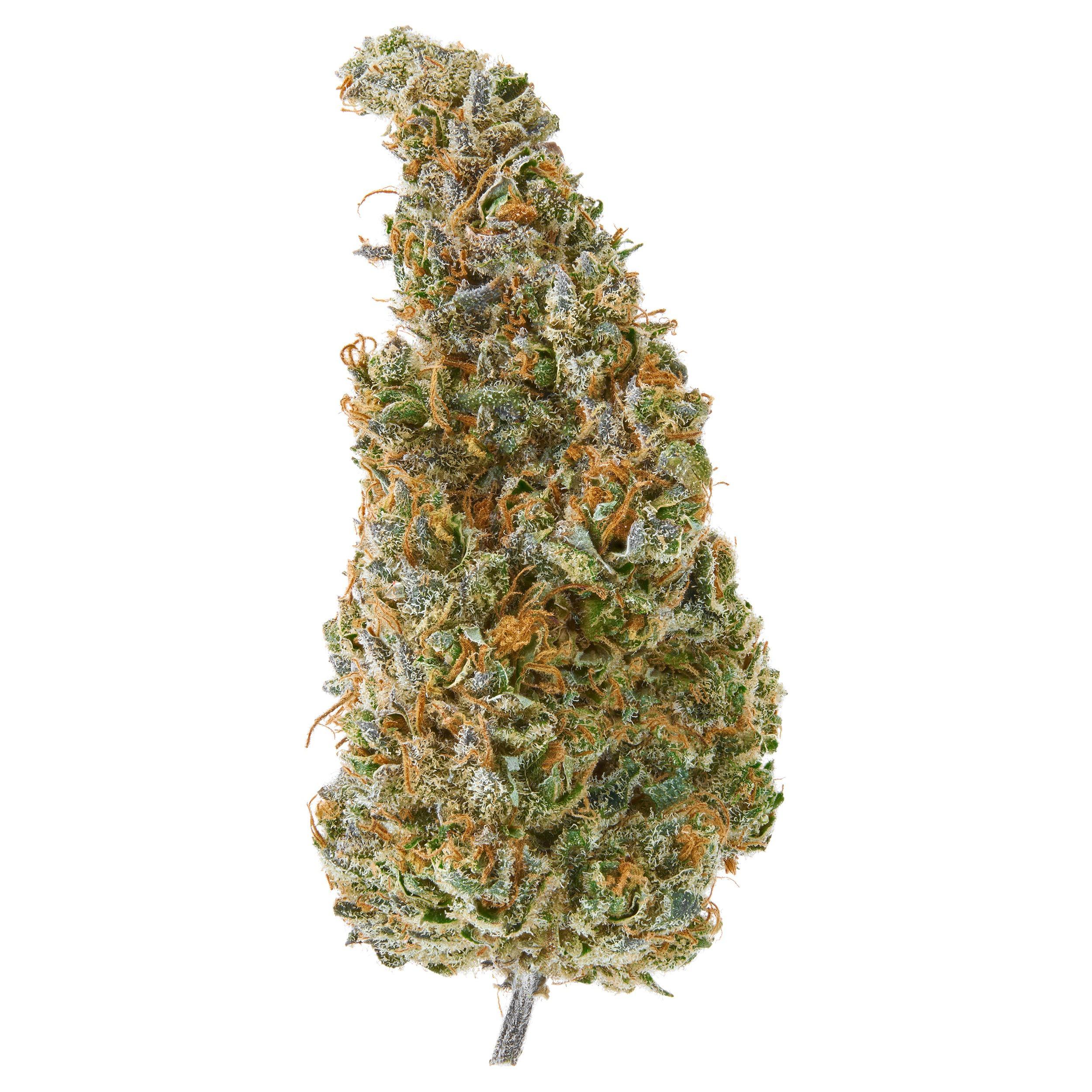 The product image for Day Dream #2 Indoor Hemp Flower
