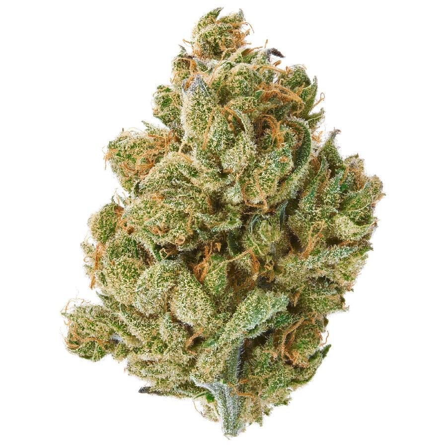 Hawaiian Hammer Indoor Hemp Flower