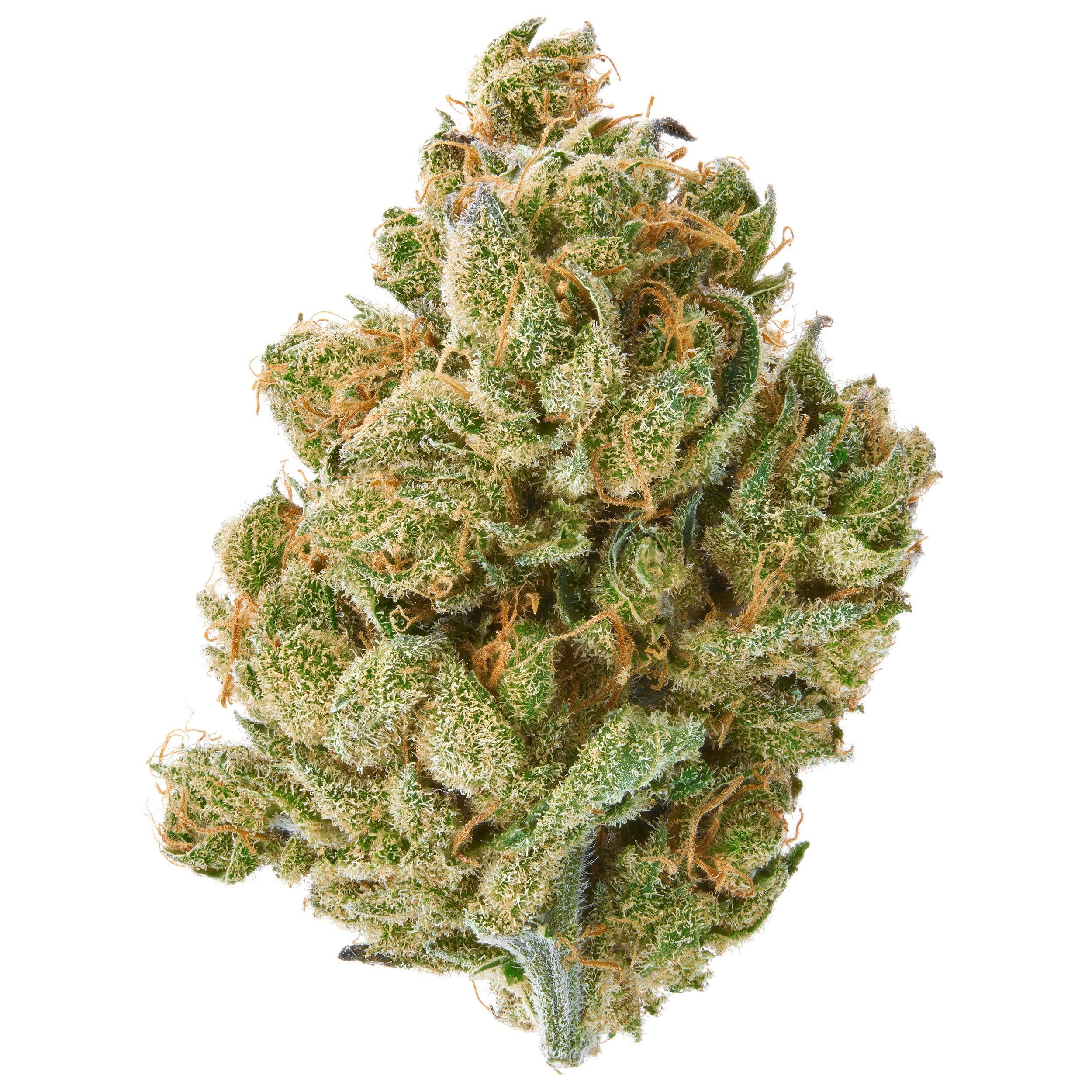 The product image for Hawaiian Hammer Indoor Hemp Flower