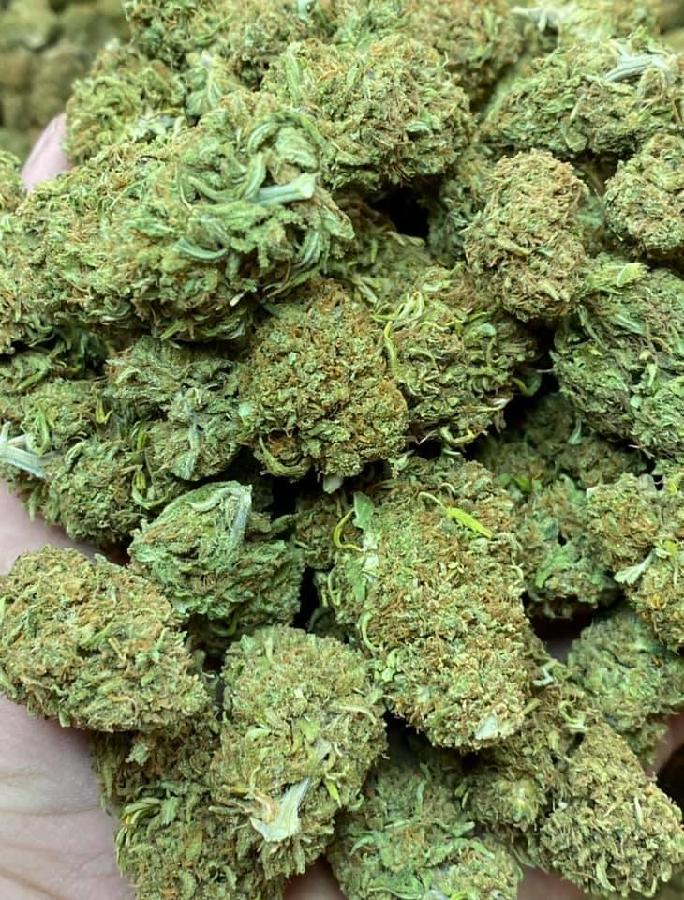 Spectrum Kush, photo 2 of 2