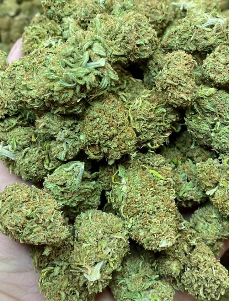 A gallery image for Spectrum Kush