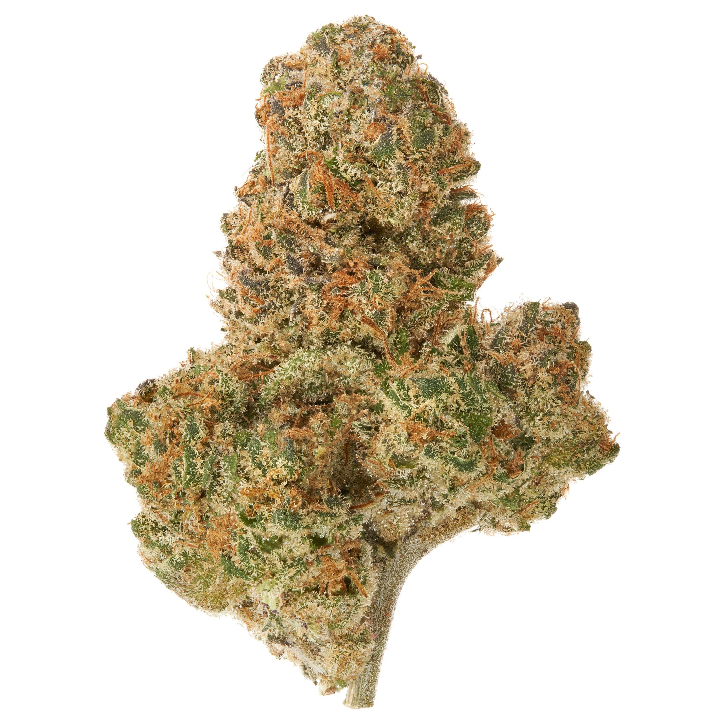 The product image for Shockwave Hydroponic Hemp Flower