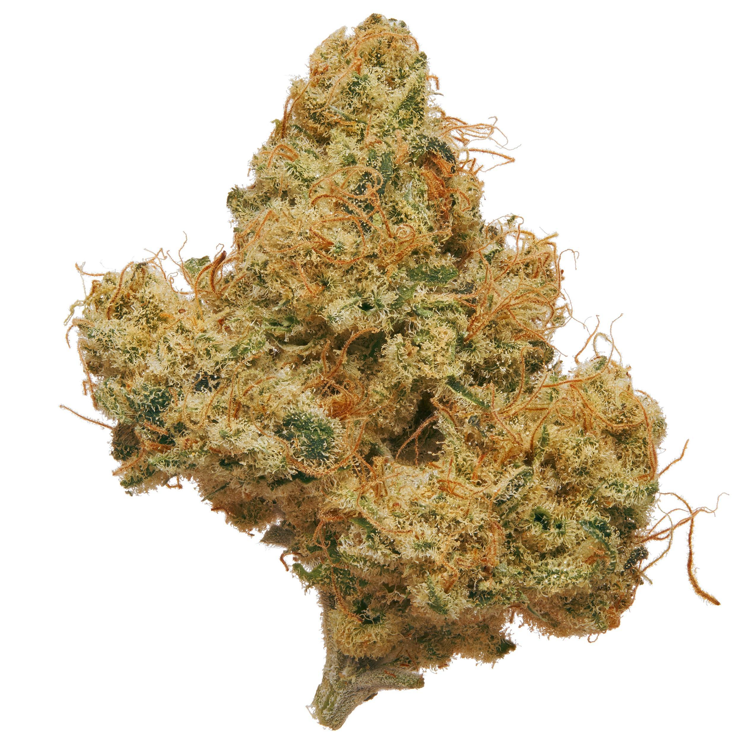 The product image for Hot Blonde Hydroponic Hemp Flower