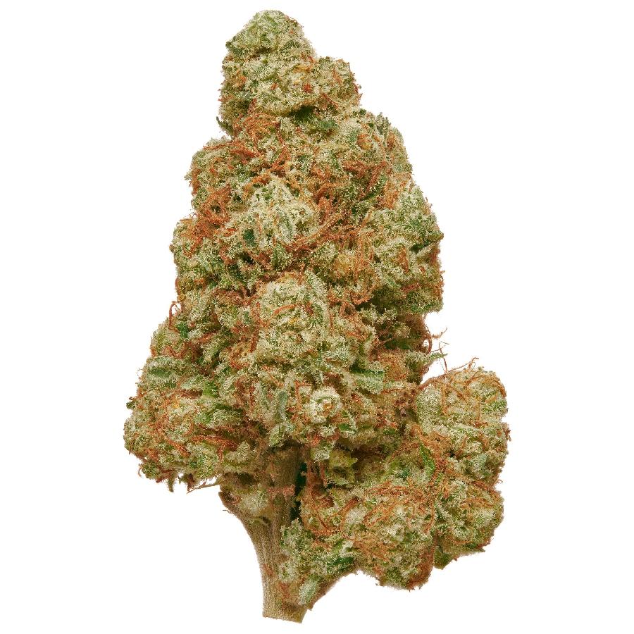 Mac and Cheese Indoor Hemp Flower