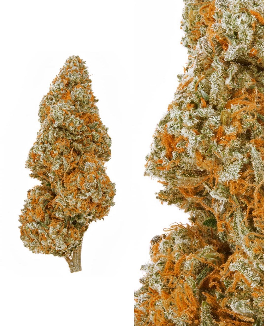 A gallery image for Arcane Kush Indoor Hemp Flower
