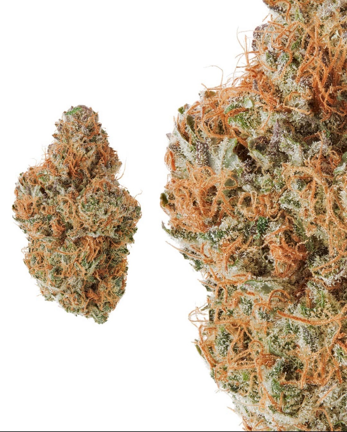 A gallery image for Dragon’s Breath Hydroponic Hemp Flower