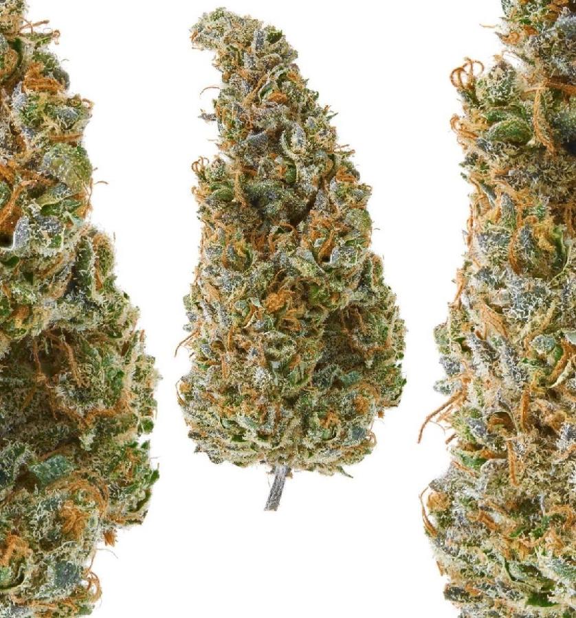 Day Dream #2 Indoor Hemp Flower, photo 2 of 2