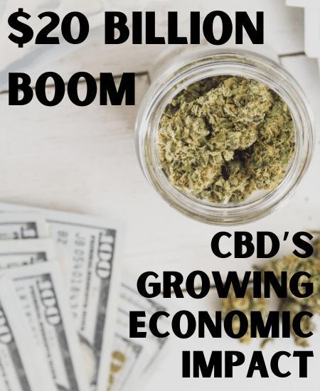 $20 Billion Boom: CBD’s Growing Economic Impact Image