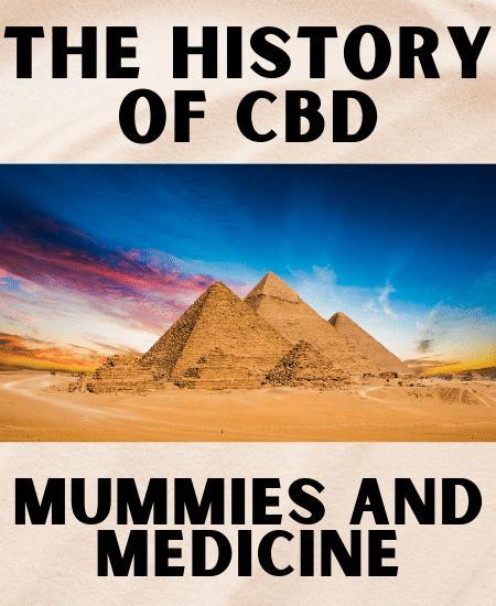 The History of CBD: Mummies and Medicine Image