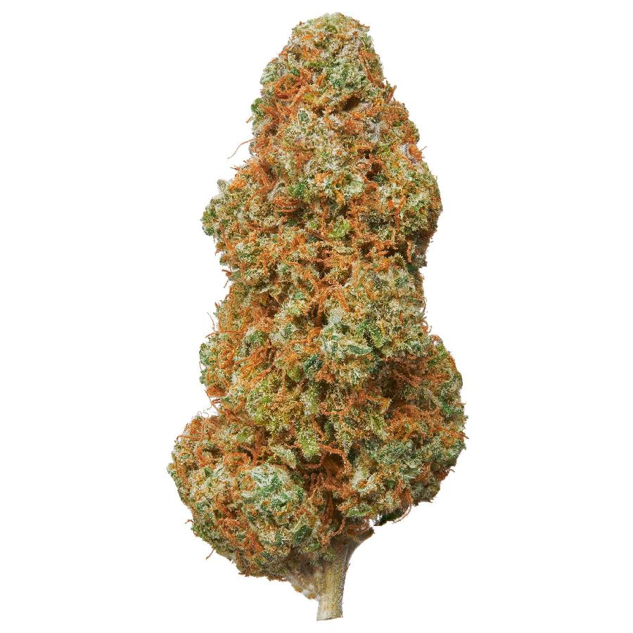 The product image for Snow Cookies Hydroponic Hemp Flower