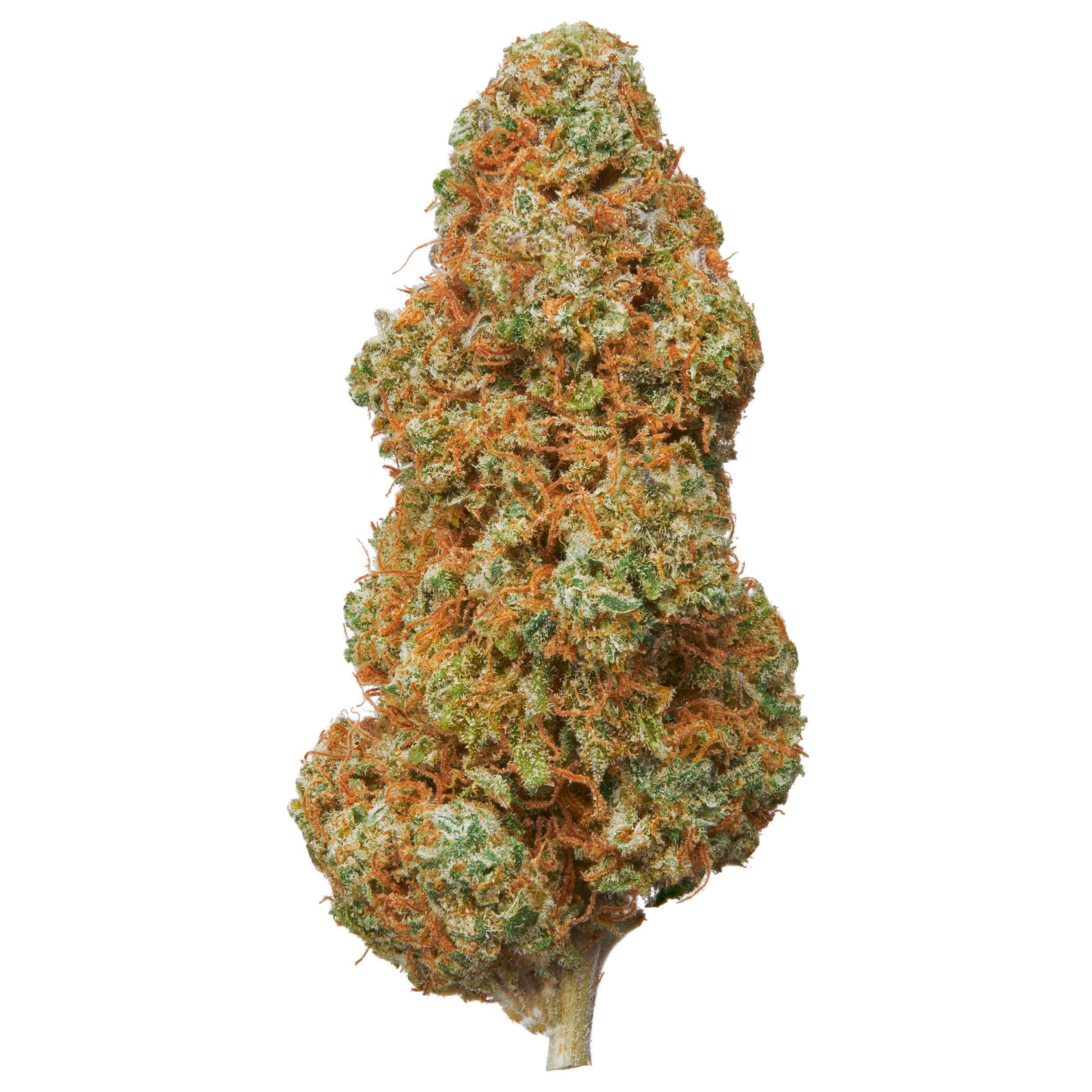 The product image for Snow Cookies Hydroponic Hemp Flower