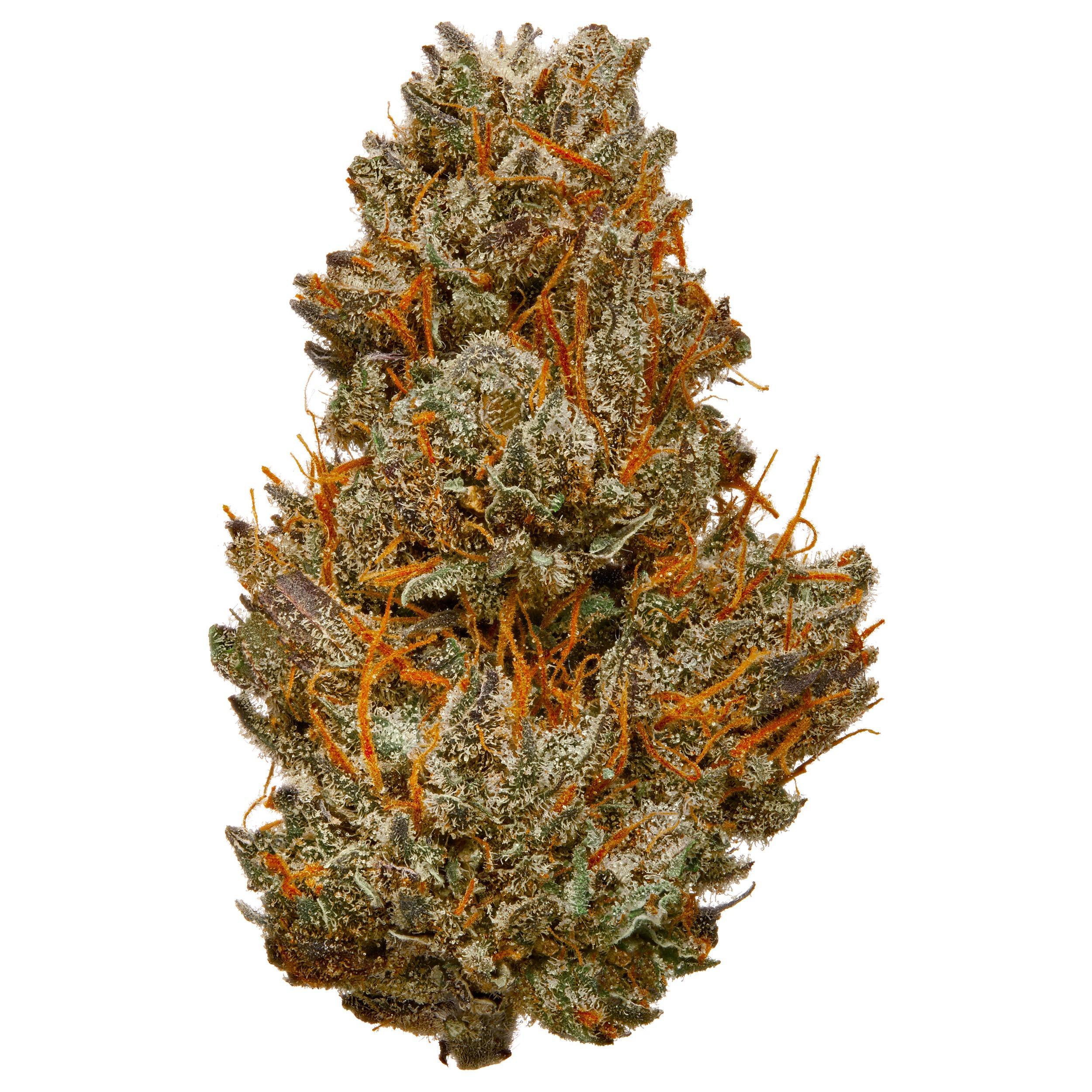 The product image for Peach Cobbler Hydroponic Hemp Flower