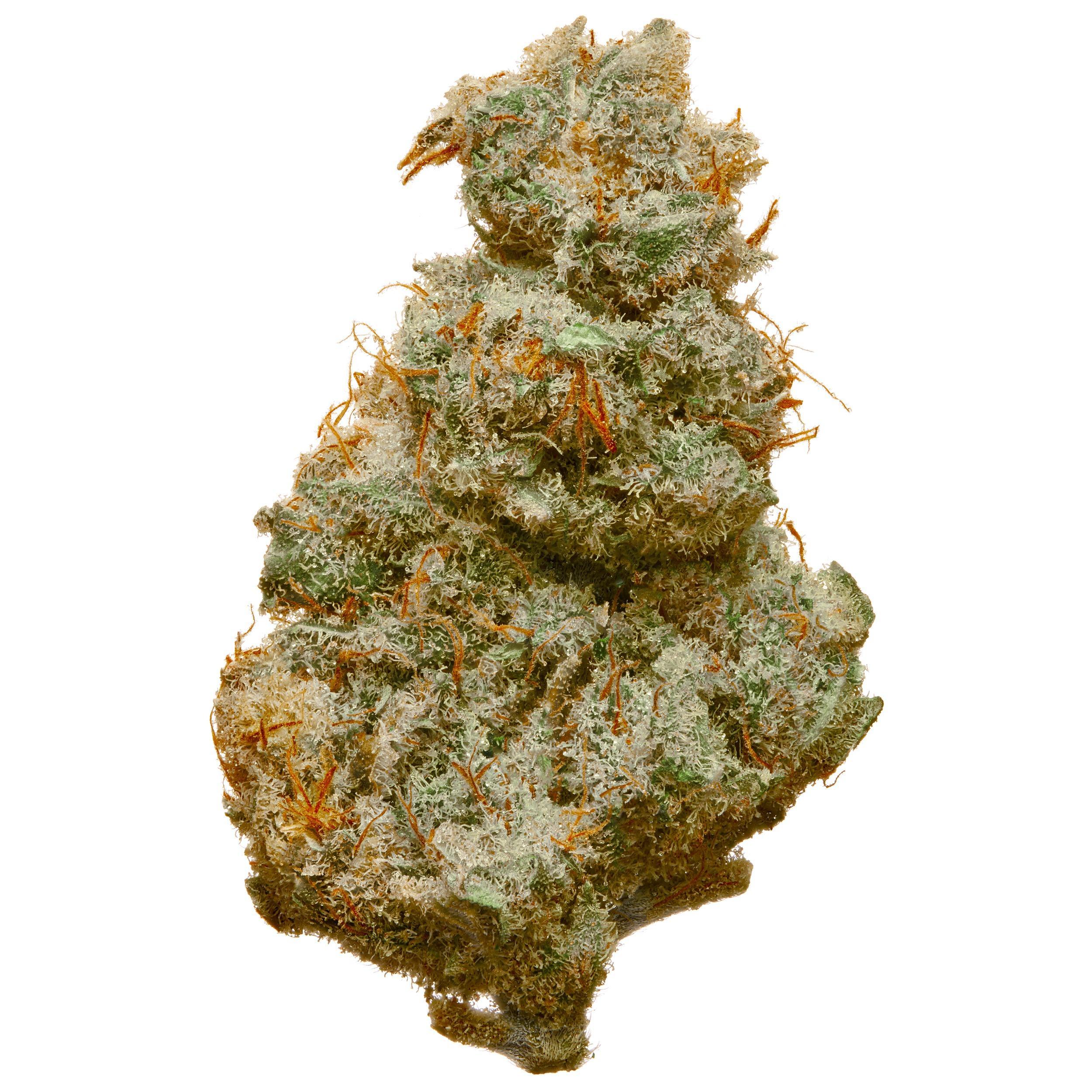 The product image for Key Lime Pie Hydroponic Hemp Flower