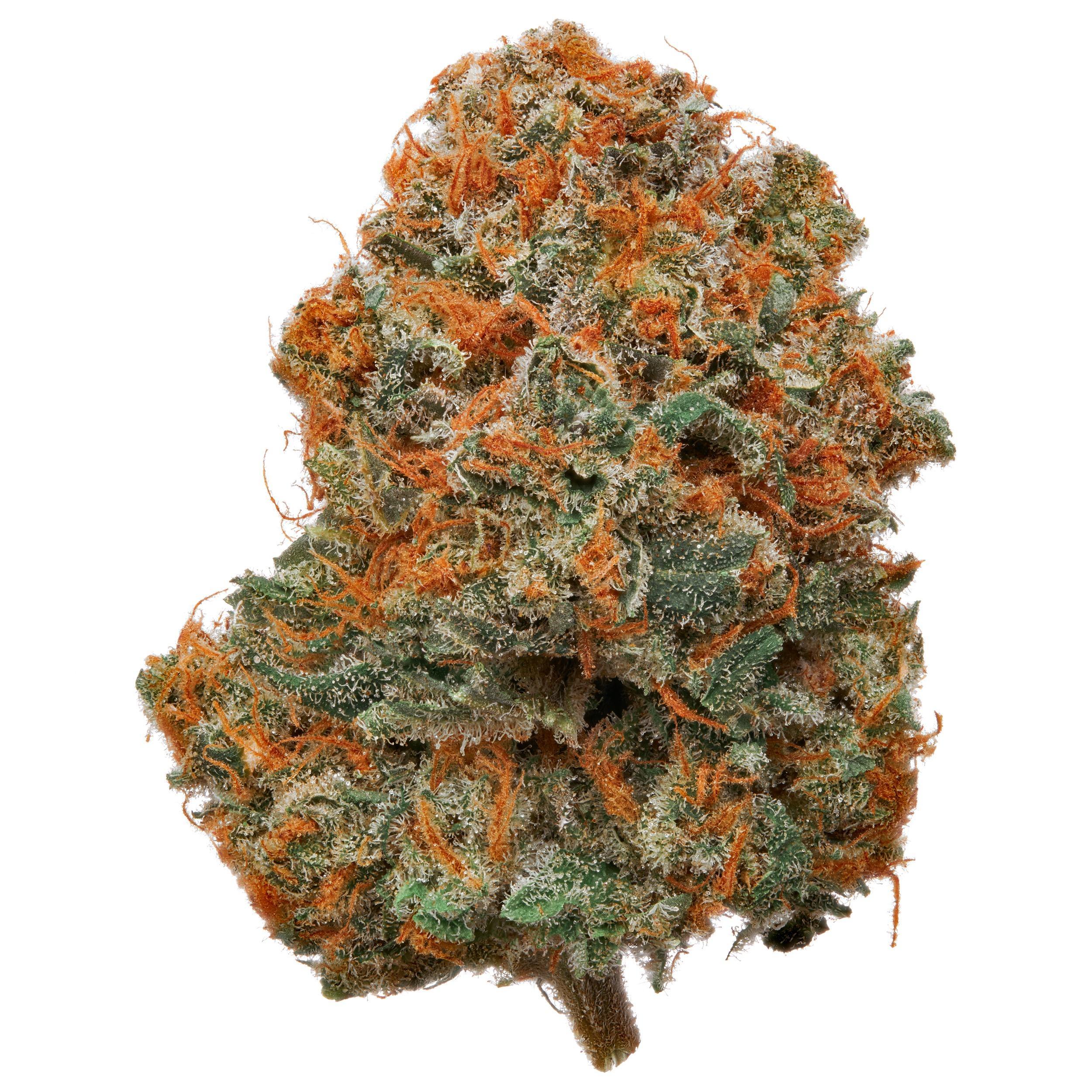 The product image for Abacus Diesel Hydroponic Hemp Flower