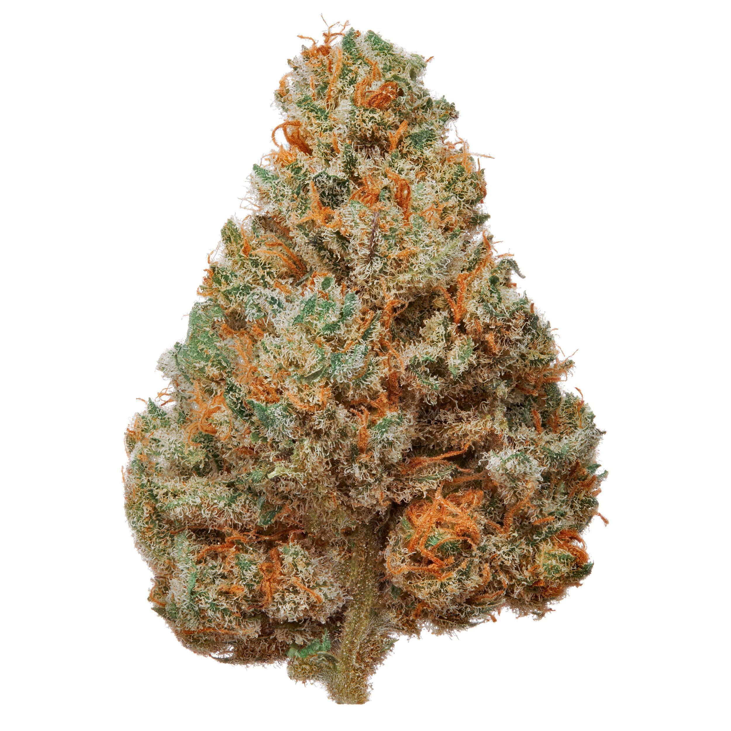 The product image for Electric Buffalo Hydroponic Hemp Flower