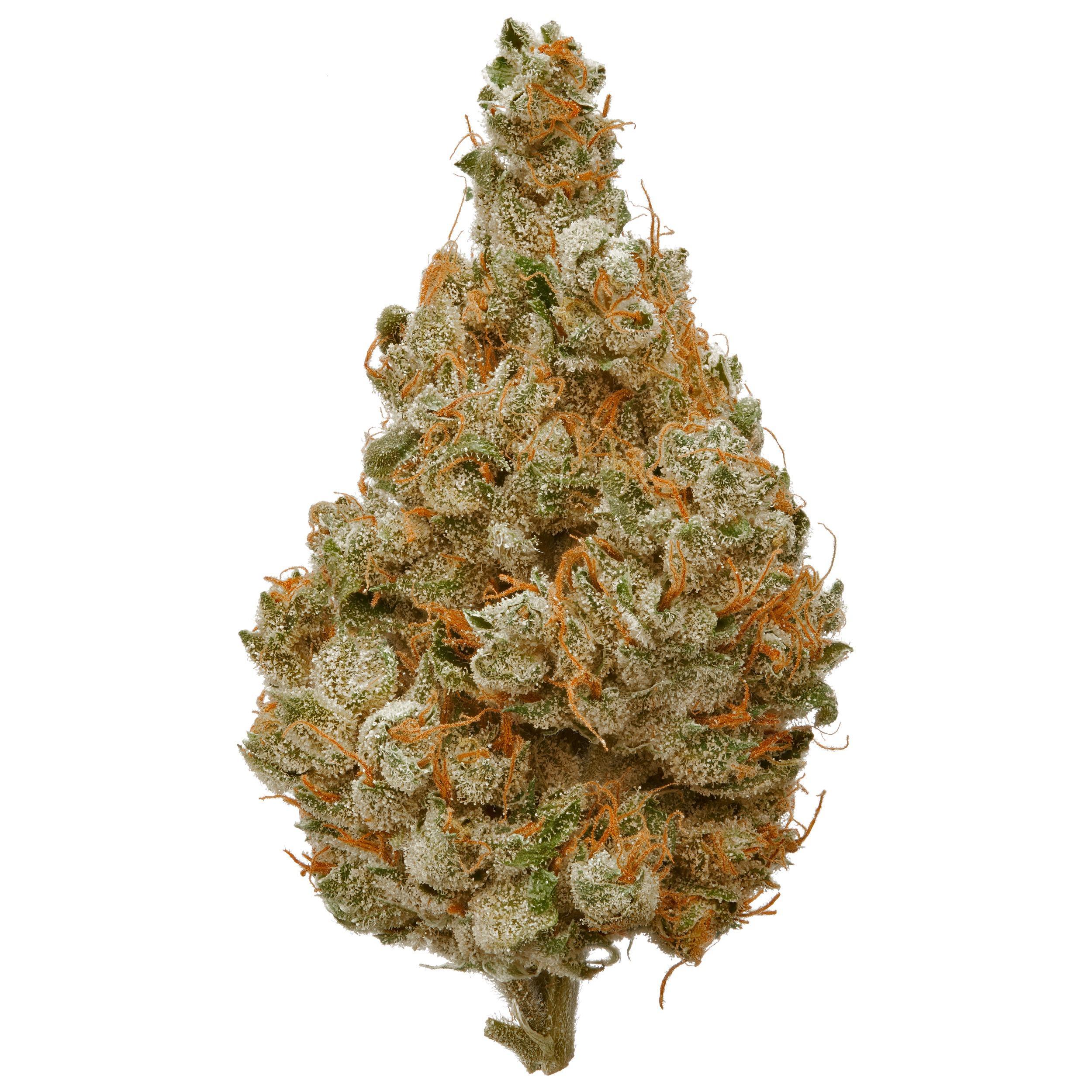 The product image for Vanilla Kush CBG