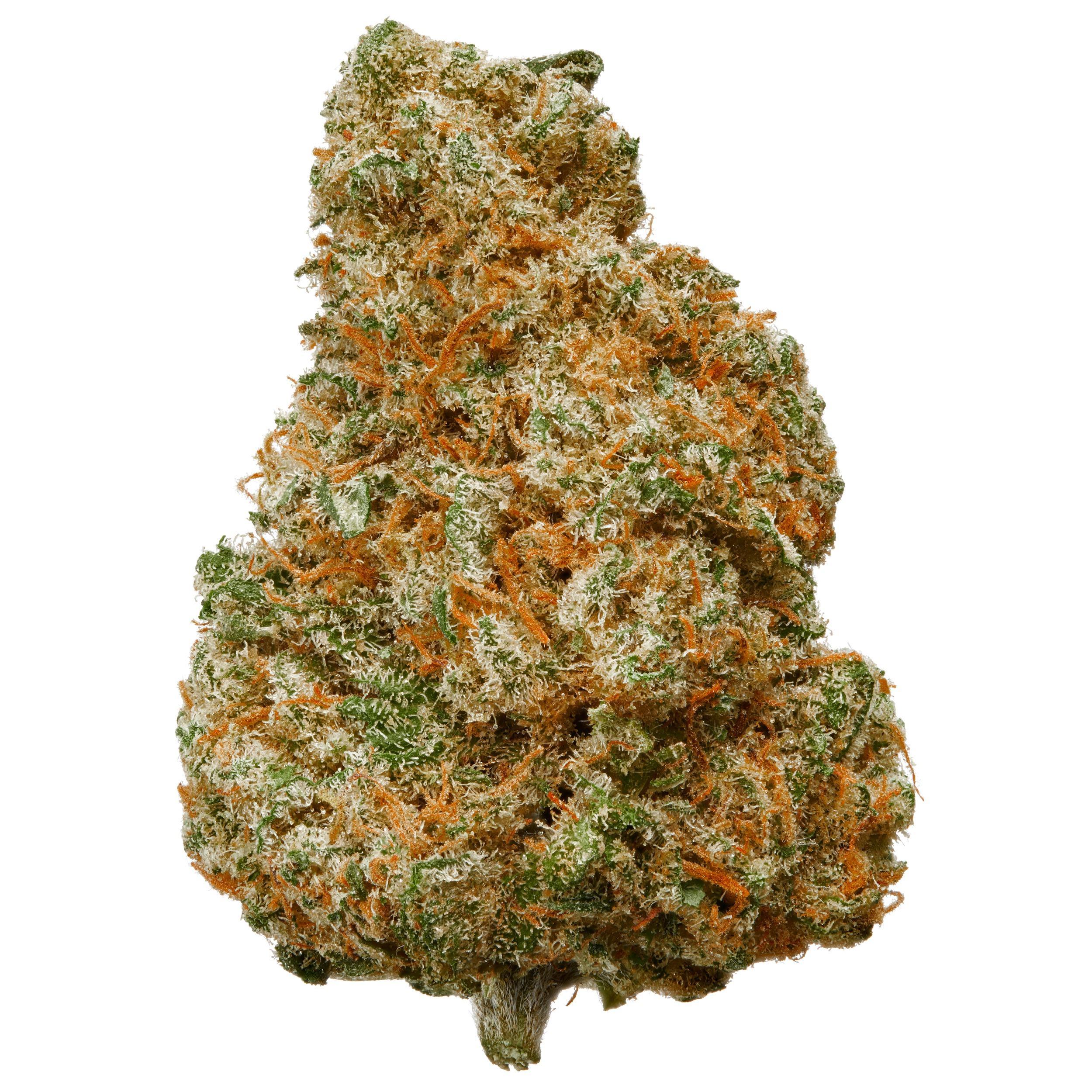 The product image for Mango Dream Indoor Hemp Flower