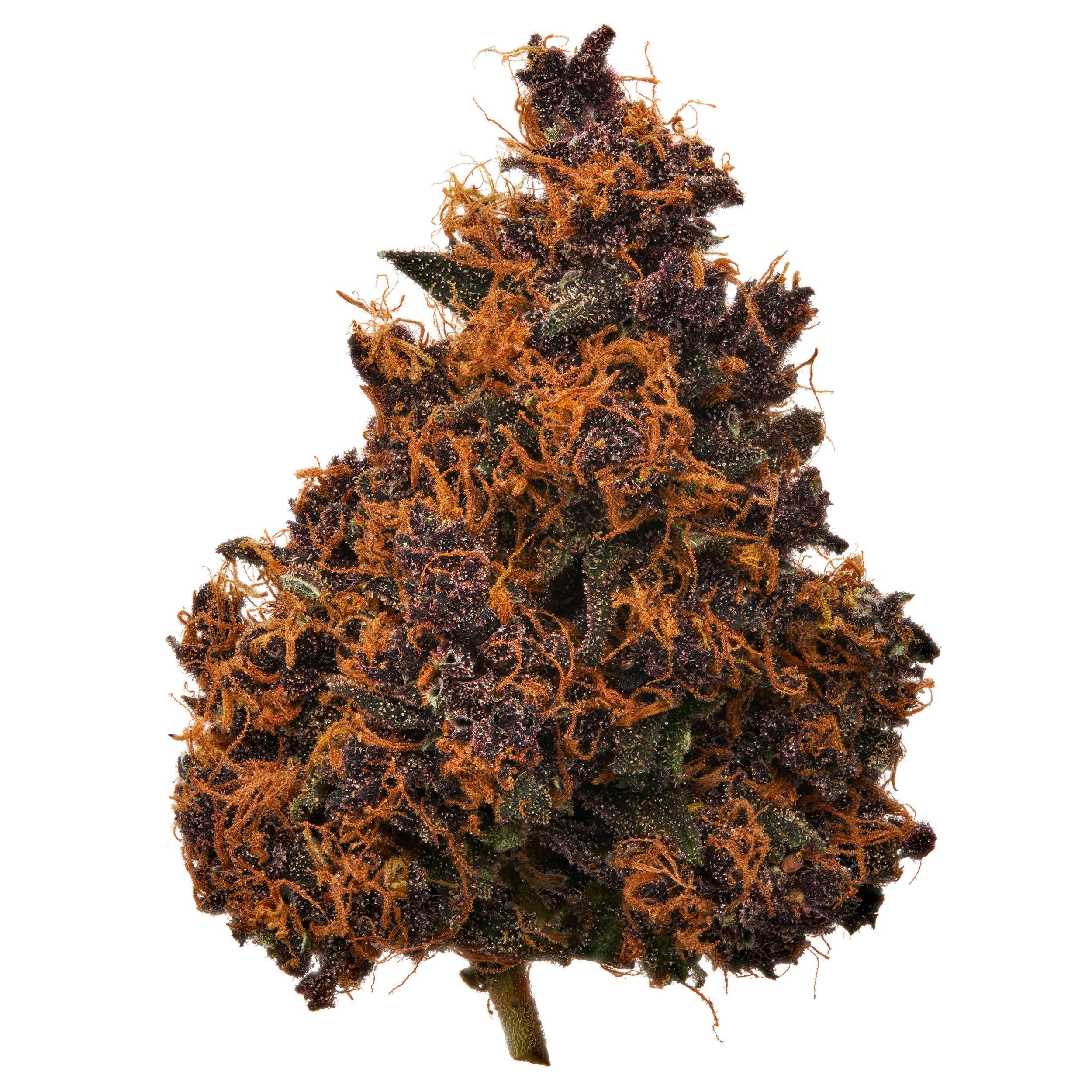 The product image for Alpen Gleaux Indoor Hemp Flower