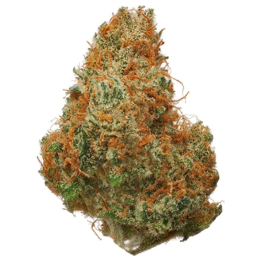 Pineapple Punch Hydroponic Hemp Flower