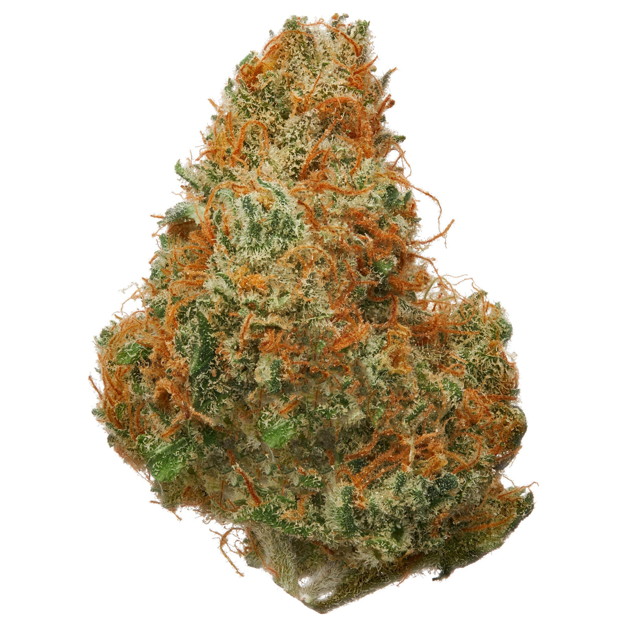 The product image for Pineapple Punch Hydroponic Hemp Flower
