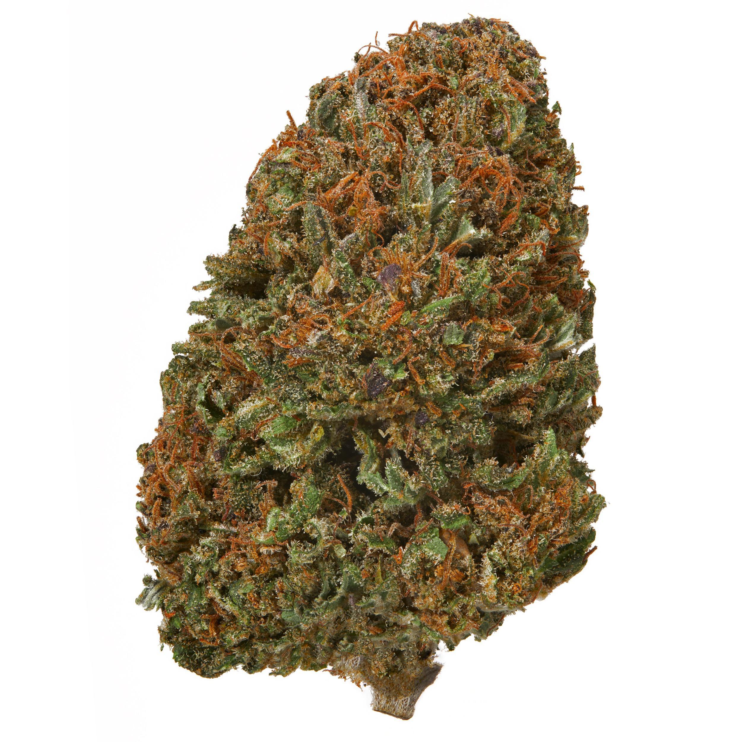 The product image for Afghan Skunk Outdoor