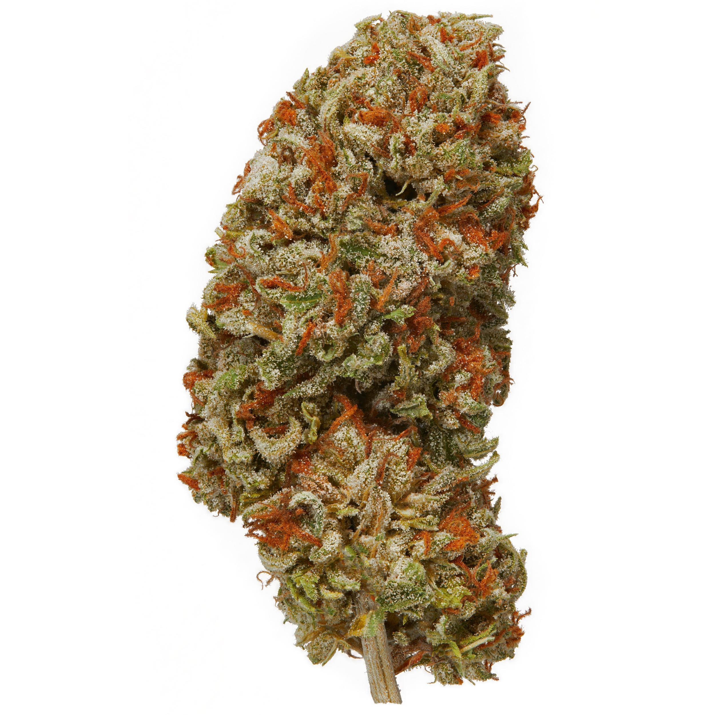 The product image for Mintz CBG