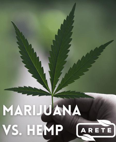 The Real Difference Between Marijuana and Hemp Image