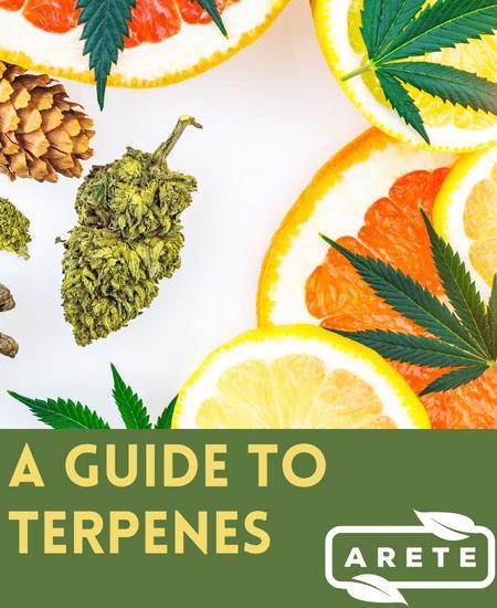 A Guide to Terpenes and Improving Your Cannabis Experience Image