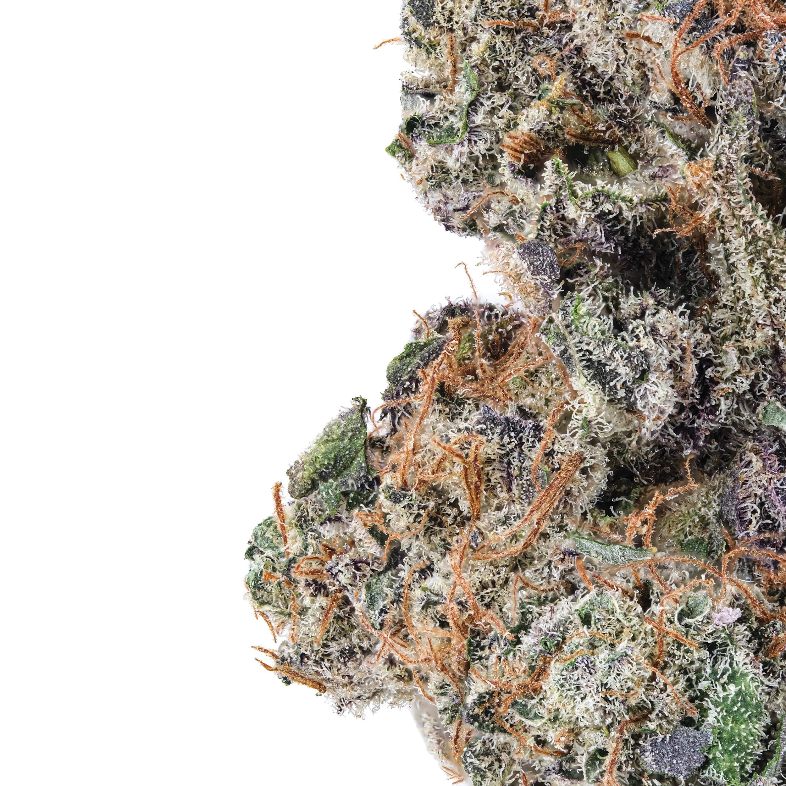 A gallery image for Blue Cheese CBD Hydroponic Hemp Flower