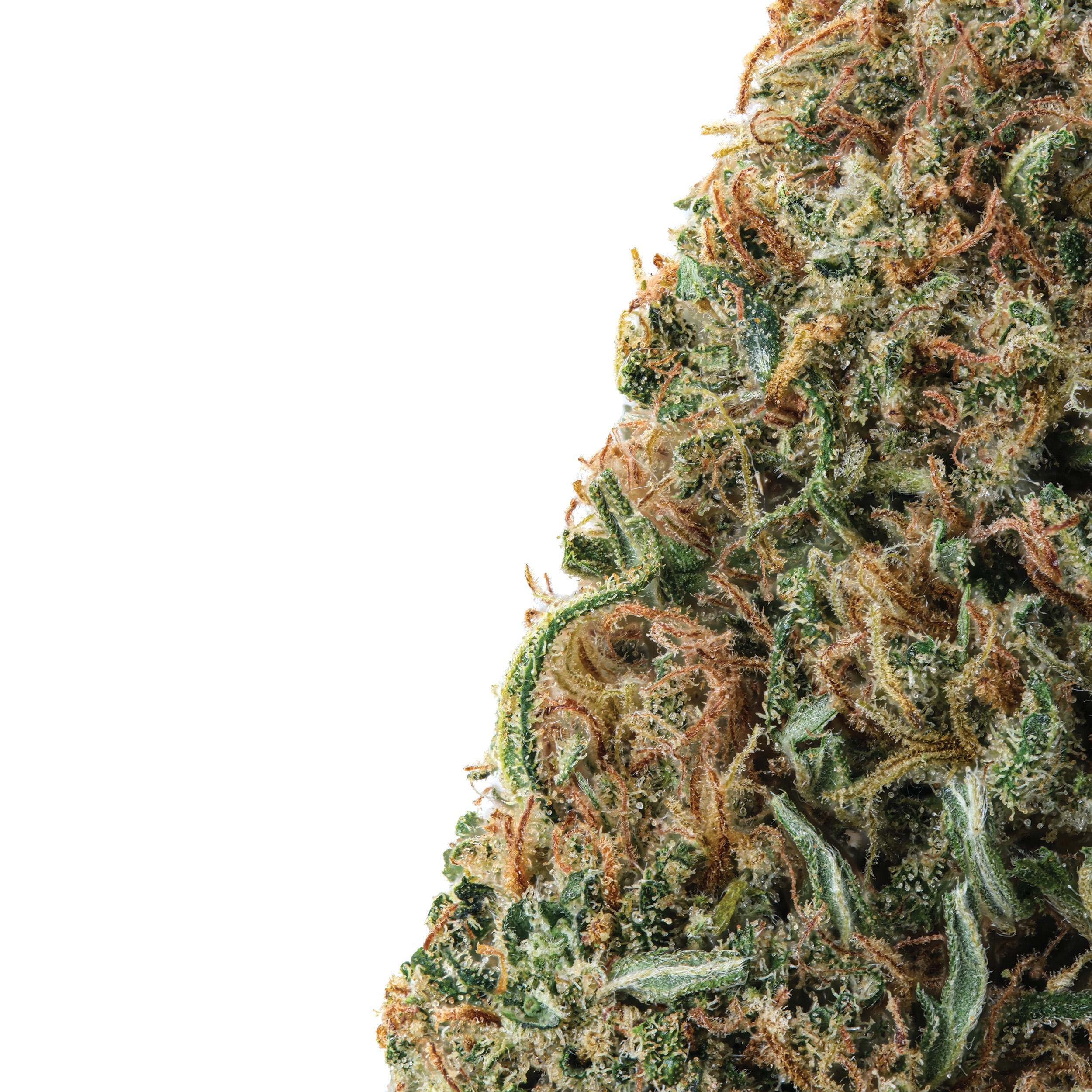 A gallery image for Sour Candy Kush CBD Hemp Flower