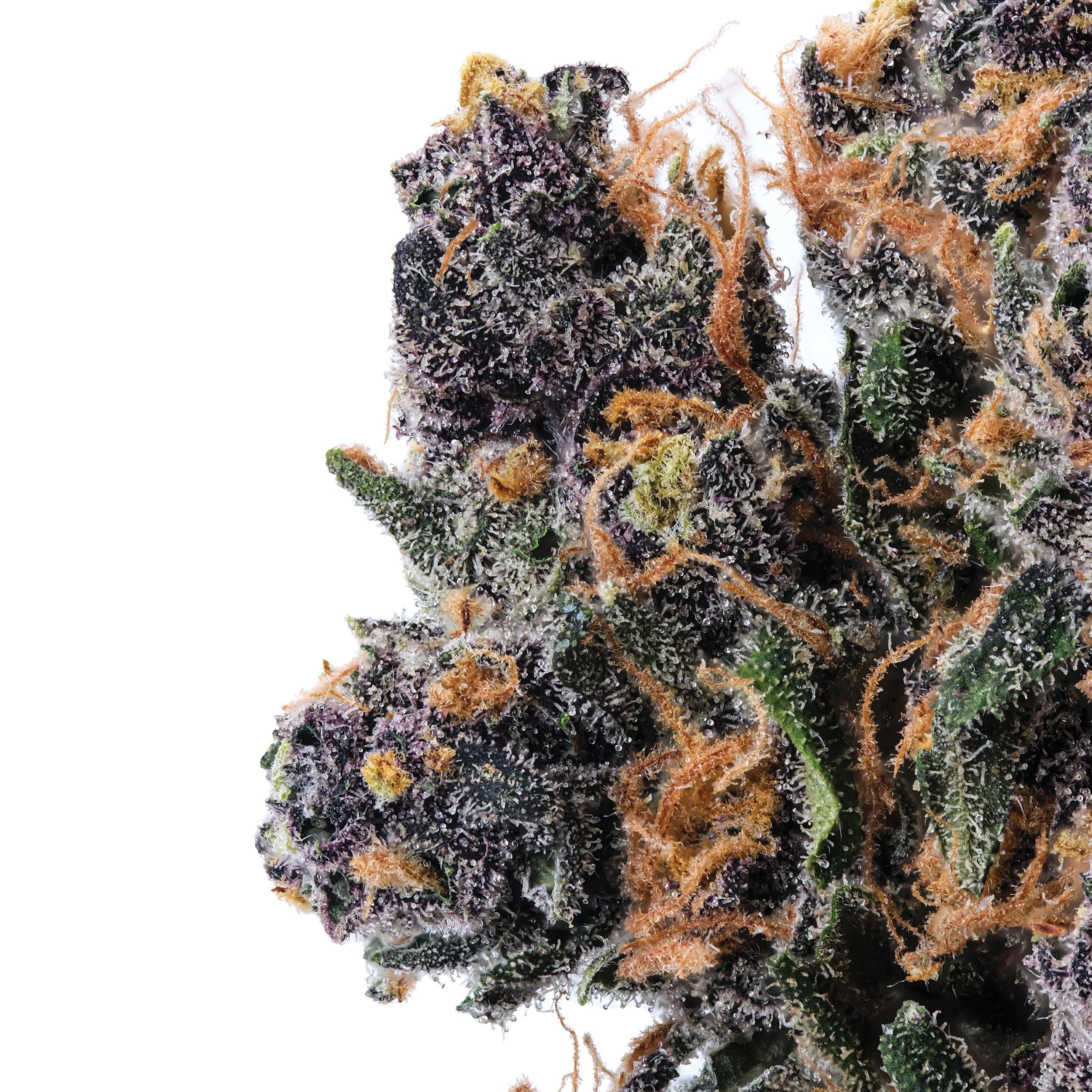 A gallery image for Legendary Platinum OG CBD Hydroponic Hemp Flower