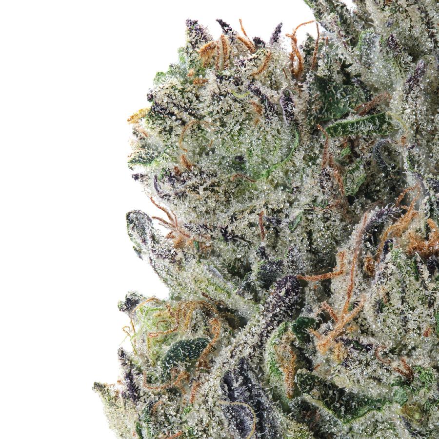 A gallery image for Moon Berry THCa Flower